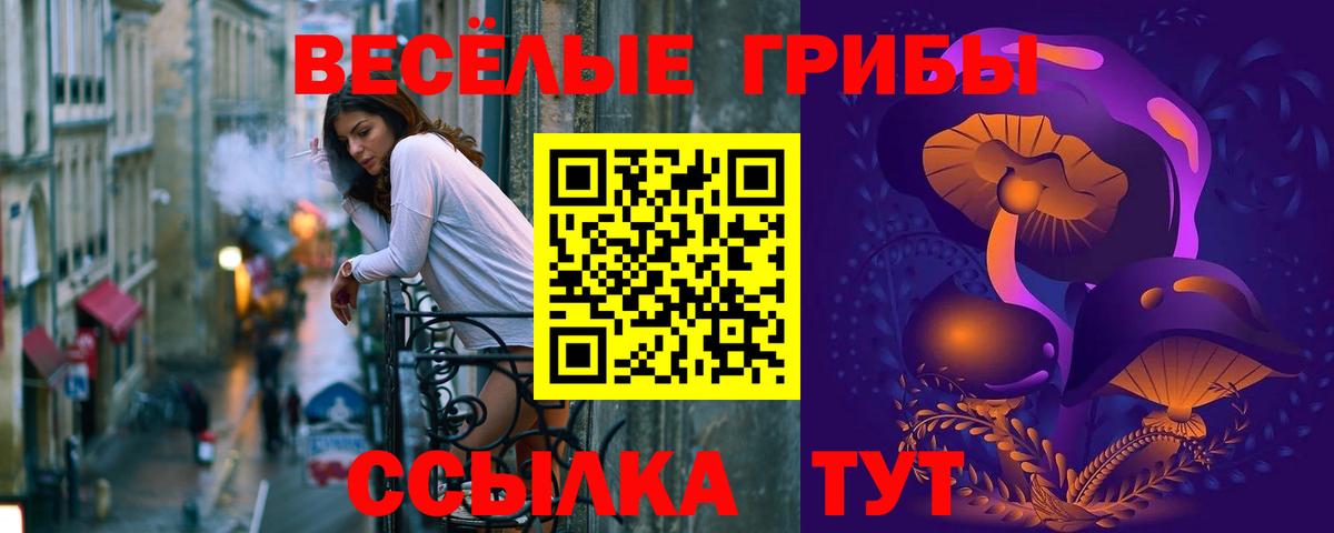 Туапсе  Псилоцибиновые грибы Psilocybine cubensis  Вход с VPN 