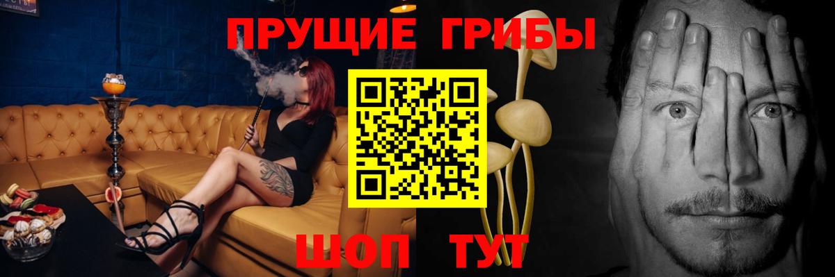 Псилоцибиновые грибы мухоморы Туапсе